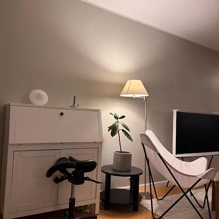Stylish Penthouse Studio, With Cozy Balcony 公寓 赫尔辛基