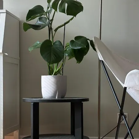 Stylish Penthouse Studio, With Cozy Balcony